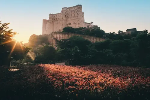 Alila Fort Bishangarh - Other Facilities - Others 31